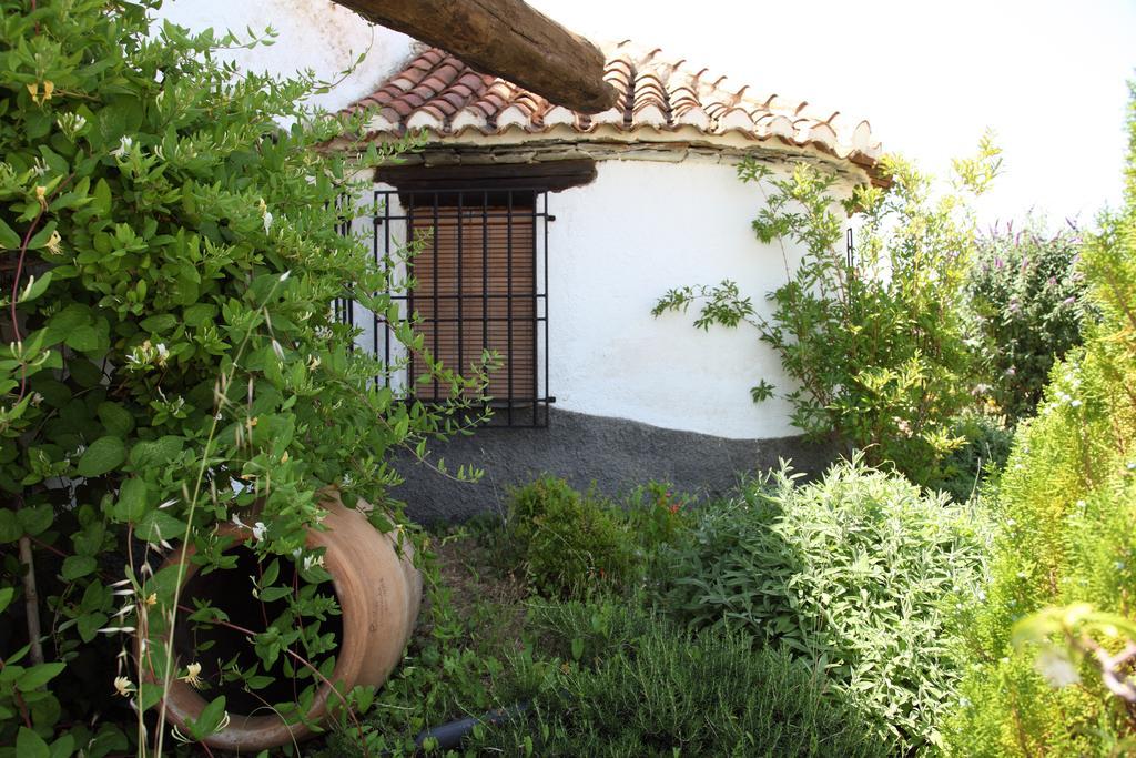 Cuevas Del Zenete Apartamento Alcudia de Guadix Exterior foto